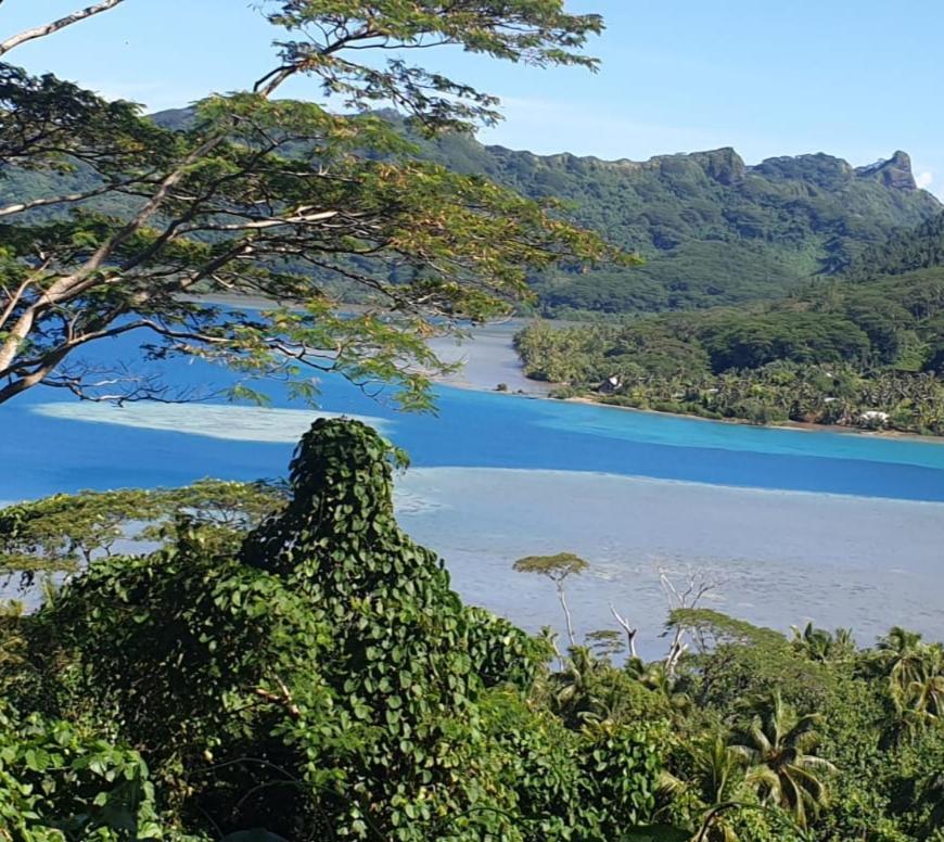 Huahine Manta Lodge Avec 4X4 Optionnel Haapu Kültér fotó
