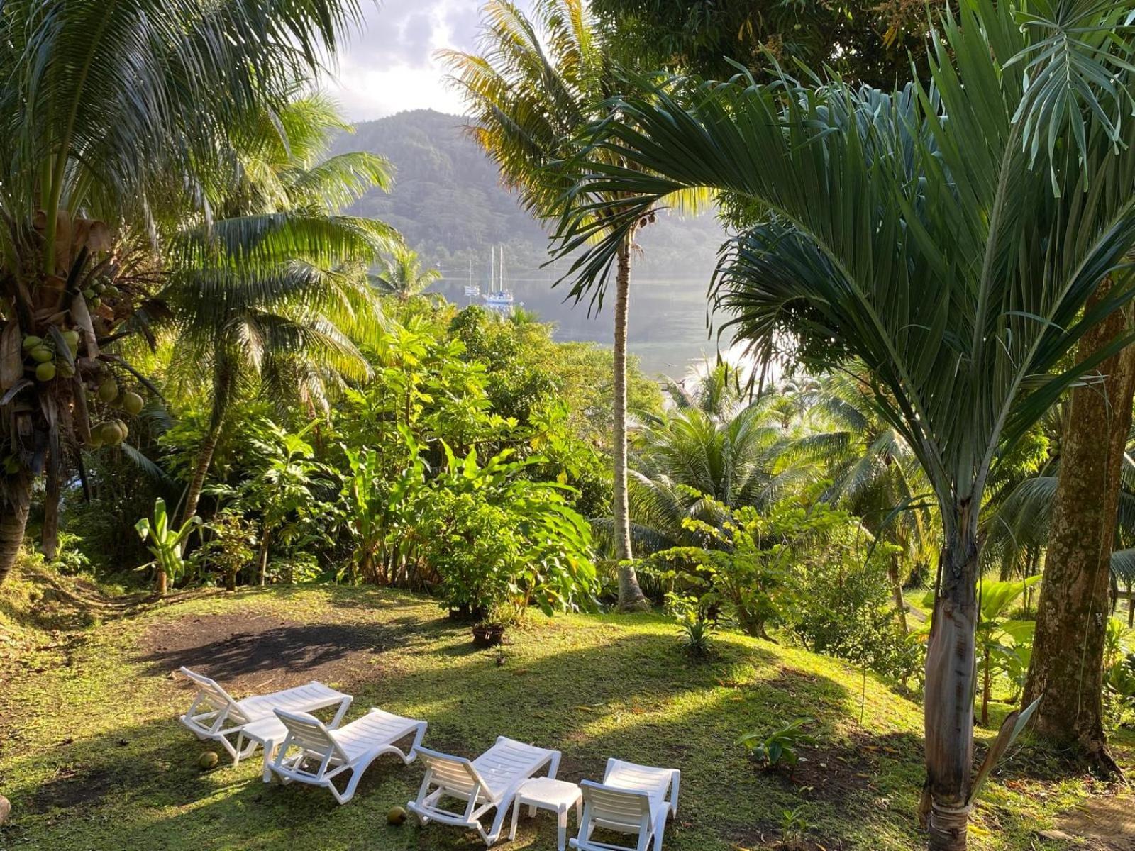 Huahine Manta Lodge Avec 4X4 Optionnel Haapu Kültér fotó