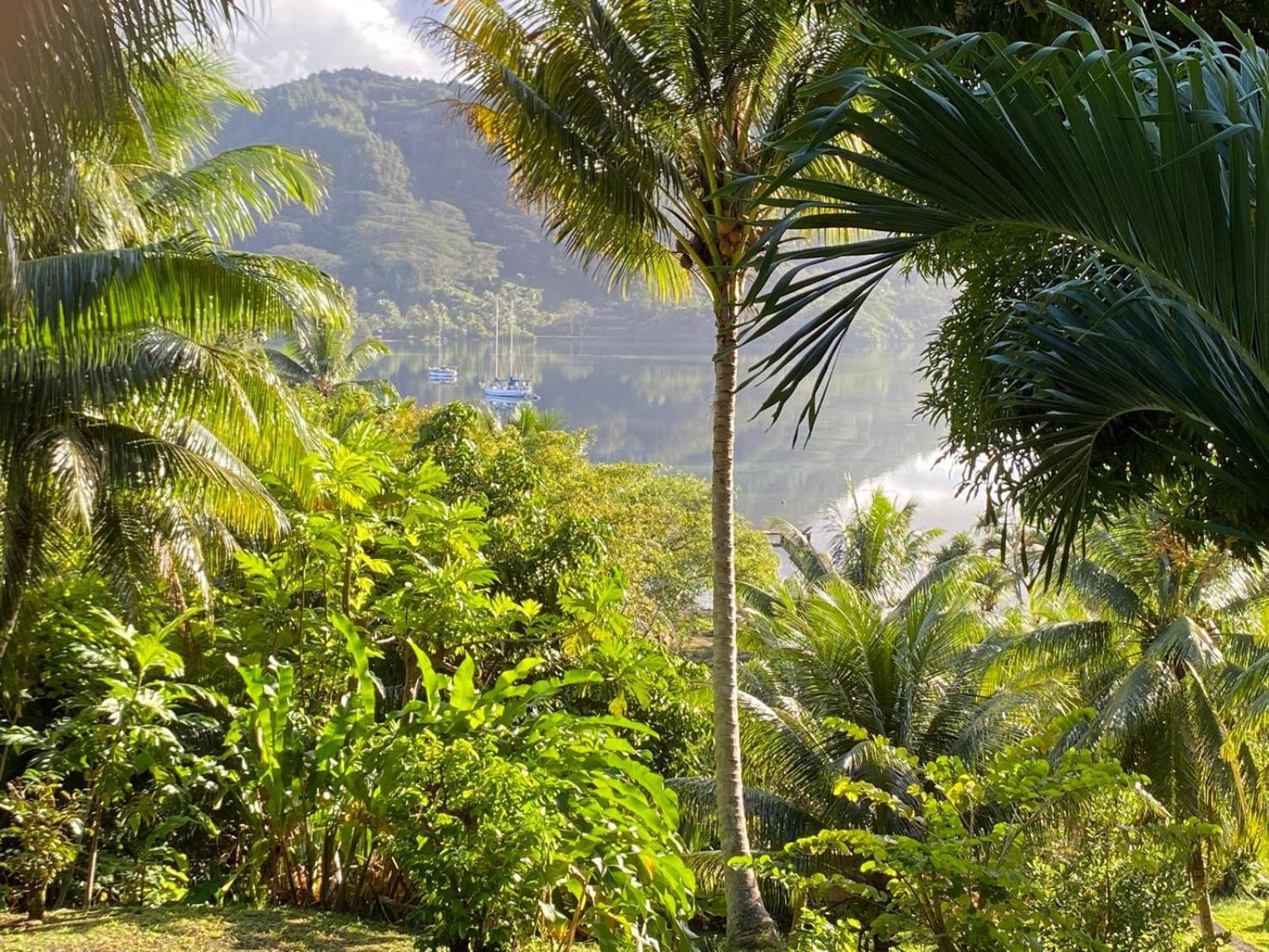 Huahine Manta Lodge Avec 4X4 Optionnel Haapu Kültér fotó