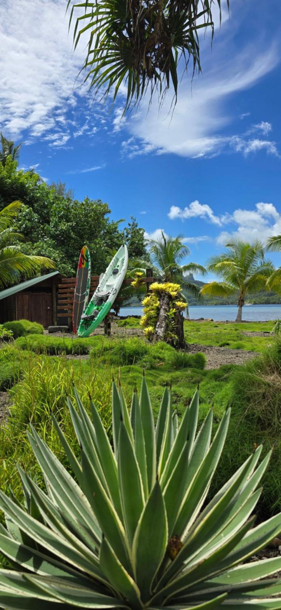 Huahine Manta Lodge Avec 4X4 Optionnel Haapu Kültér fotó
